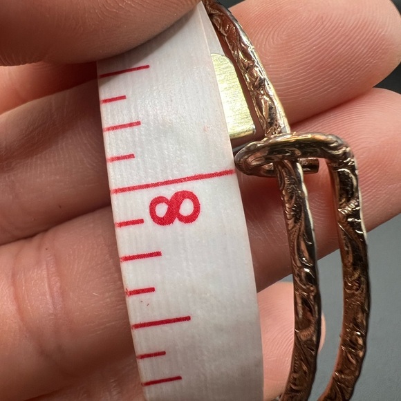 Alex and Ani America the Beautiful Amber Waves Gold Tone Bracelet - Picture 4 of 4